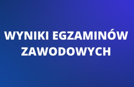 Read more about the article Wyniki Egzaminów Zawodowych